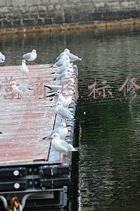 系统图标怎么更改(保姆级Windows 11升级教程三分钟包学会)