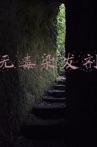 印度植物无毒染发剂(真正的“世界之花”是它，埃及艳后用它染头发，中国人最熟悉)