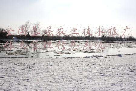 中国农技信息推广服务平台(云南数字农业服务平台正式上线，以数字技术服务云南高原特色农业发展)