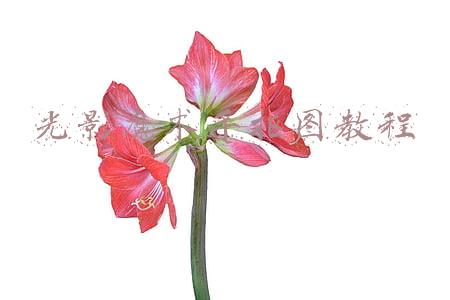 光影魔术手抠图教程