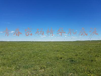 青春密码精华肌底液