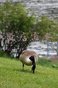 炸串加盟店需要多少钱加盟：炸串加盟费用多少钱