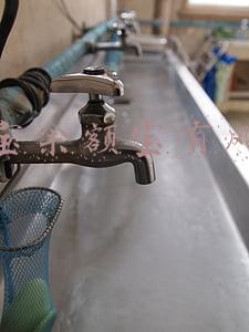 支付宝余额宝有风险吗