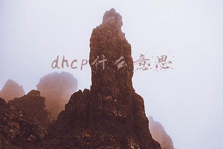 自动dhcp什么意思(秒懂DHCP是什么)