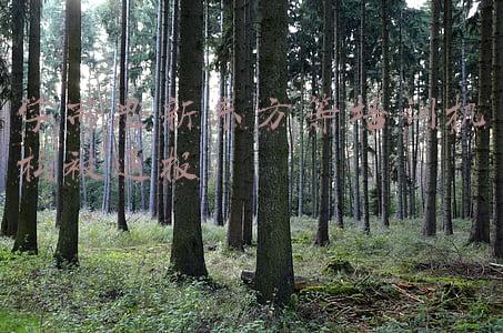 学而思新东方等培训机构被通报