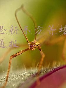 学而思培训中心(20000人全体离职，学而思体面退场，一个时代结束了)