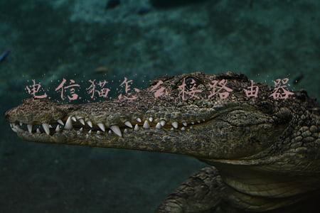 电信猫怎么接路由器怎么设置(光纤猫如何接无线路由器？光纤猫如何接无线路由器怎么设置？)