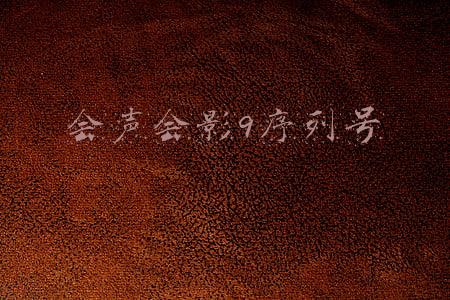 会声会影9序列号