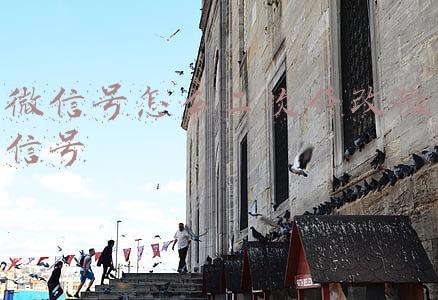 微信号怎么二次修改微信号