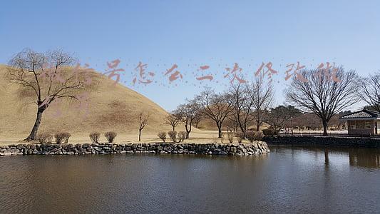 微信号怎么二次修改微信号