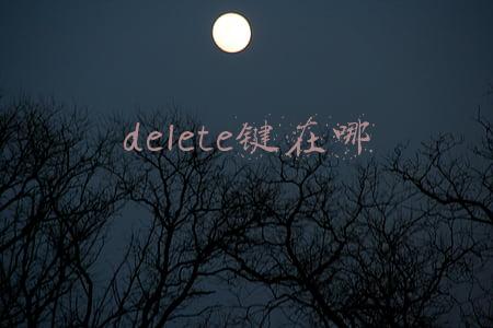 delete键在哪