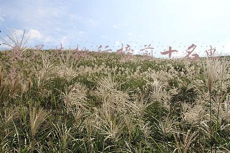 丧尸片排行榜前十名电影韩国电视剧(谈谈那些韩国优秀的丧尸影视剧，和其所表达的社会问题)