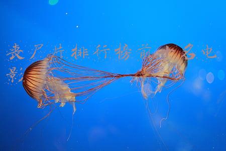 丧尸片排行榜前十名电影