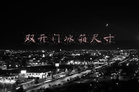 双开门冰箱尺寸一般是多少(十字对开门冰箱，容量大，功能多，为什么很少人买？来听听大实话)