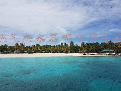 燃气热水器哪个牌子好质量好性价比高(燃气热水器性价比排名前三的品牌)
