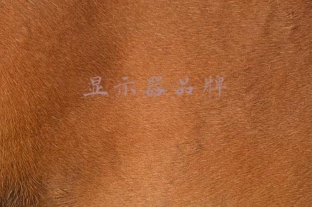 显示器品牌性价比(双十一想买专业显示器？这几款产品性能、价格真给力)