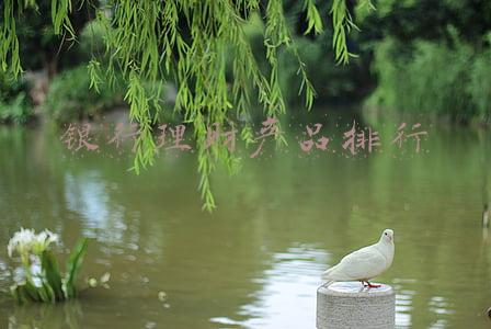 银行理财产品排行2019(理财产品12月兑付收益榜：股份行表现亮眼，看谁一马当先？)