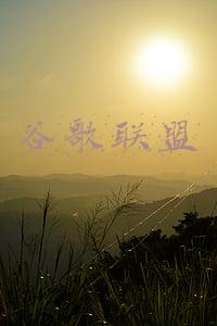 谷歌联盟