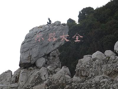 乐器大全