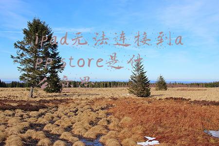 ipad无法连接到app store是什么意思