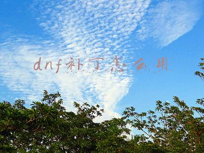dnf怎么自己做补丁(傻瓜式教学，手把手教你修改buff动图)
