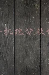 苹果手机跑分软件(苹果跑分排行榜，iPhone 13 性能战胜安卓新机皇)