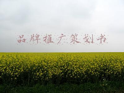 品牌推广策划书范文案例(风起东方，这个春节国际品牌营销战的“不约而同”| 特别策划)