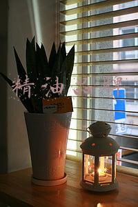 精油品牌推荐(国内十大精油)