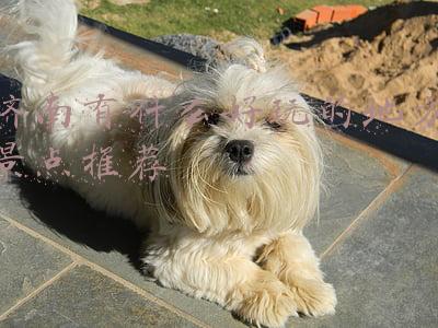 济南有什么好玩的地方景点推荐