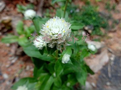 淡水鱼养殖技术(深秋时节，淡水鱼养殖技术与鱼塘如何管理)