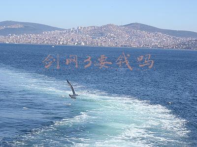 剑网3要钱吗