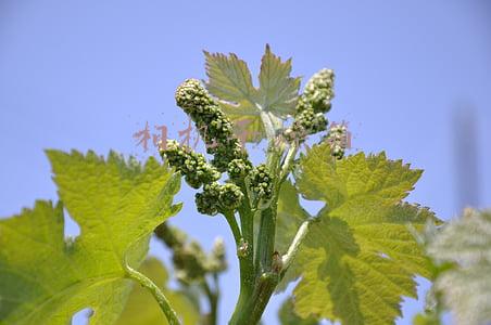 相机干燥箱湿度多少合适(相机湿度多少合适)