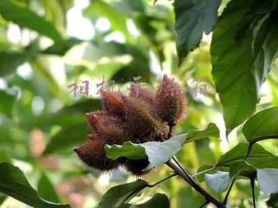 相机干燥箱怎样调节(佳德摄影给大家介绍摄影器材维护保养指南)