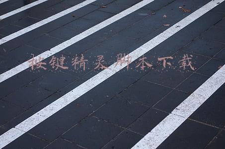 奇迹按键精灵脚本下载(创新多，科技支撑更有力)