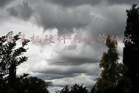 计算机硬件系统的组成部分(微机硬件系统的两大部分是什么？最详细的电脑硬件科普)