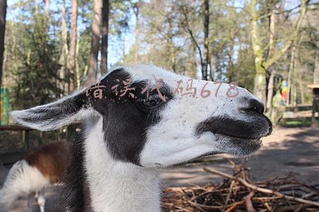错误代码678