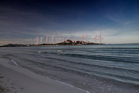 gridview控件