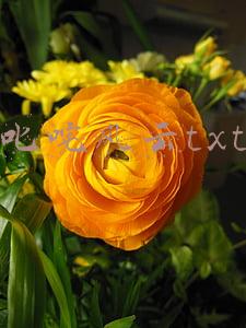 叱咤风云txt