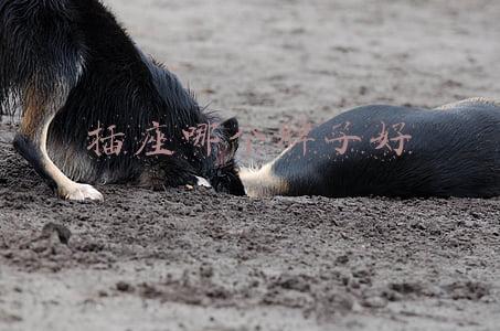插座哪个牌子好