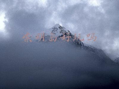 崇明岛好玩吗(上海首家！崇明这一新晋“网红”地，你打卡了吗？)
