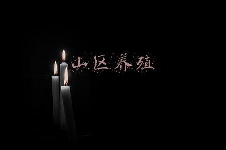 山区养殖