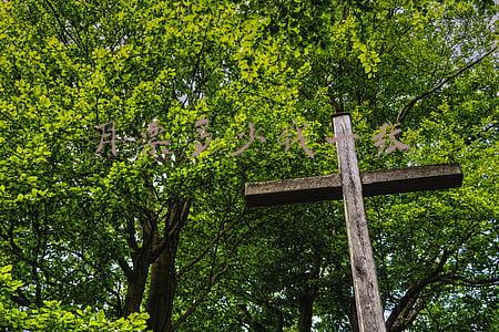 天津到北京高铁月票多少钱一张(京津城际铁路推出“月票”啦！最多乘坐60次)