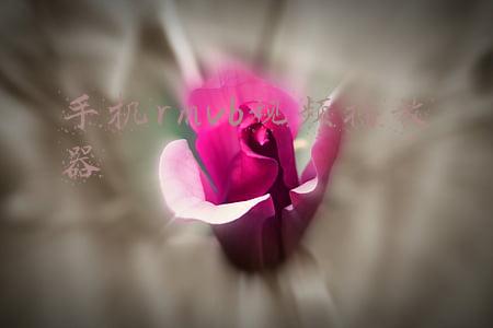 手机rmvb视频播放器