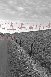 手机连上wifi却不能上网