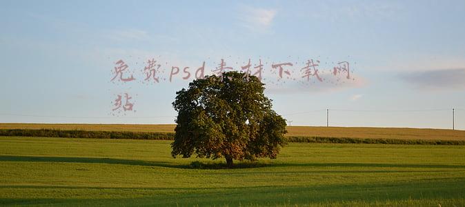 免费psd素材下载网站有哪些(分享给设计师常用的网站，免费赠送24套psd贴图模版！)