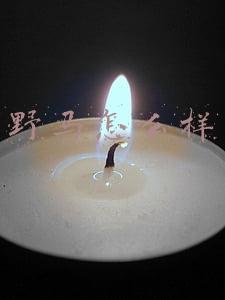 野马汽车质量怎么样(福特新野马对比雪佛兰科迈罗)