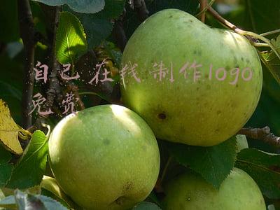 自己在线制作logo免费