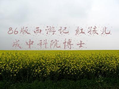 86版西游记 红孩儿 成中科院博士