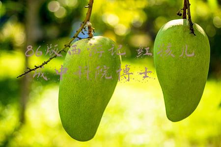 86版西游记 红孩儿 成中科院博士