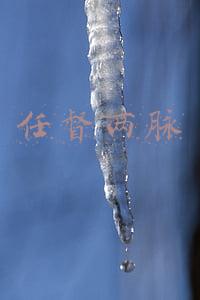 任督两脉